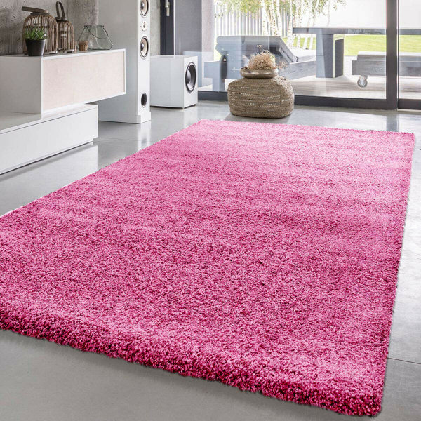 Symple Stuff Shaggy Rugs Living Room Carpets Small Medium Large